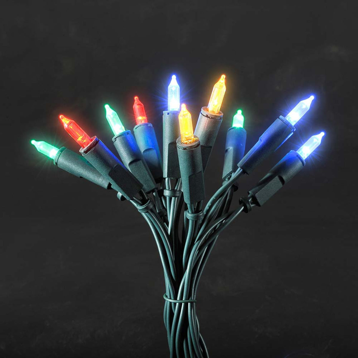 LED Minilichterkette mit 20 bunten leuchtenden Dioden in Rot, Blau, Grün und Warmweiß, grünes Kabel, Detailansicht