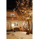 Beleuchteter Baum mit LED Minilichterkette 304 Warmweiße Dioden IP44 in verschneitem Garten bei Nacht.
