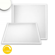 LED Panel Professional Line 600 Neutralweiß Dimmbar 4100lm Weiß, quadratisch, flach, dimmbar 1-100% für Büro und Gewerbe