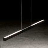 LED pendant light Xena 120cm integrated pull