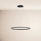 LED ring pendant lamp Ø 100cm