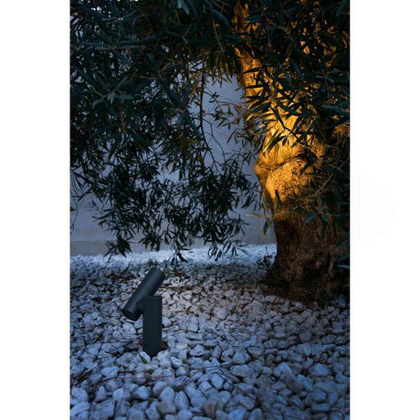 LED Projecteur pour mur et socle SPY-16W IP65 gris foncé éclaire un arbre dans le jardin.