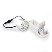 LED Spot Shine 10W Silber 2000-2800K Dimm-to-warm mit Phasenan- und Phasenabschnitt.