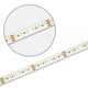 LED Strip 5m 8500lm 24V Weiß-dynamisch – Detailansicht der homogenen Lichtlinien.