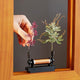 Hand mit bunten Blumen in der LED-Tischleuchte Slow Dance Illusionsrahmen, der die Natur in Zeitlupe zeigt.