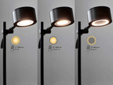 LED Wandleuchte Clyde