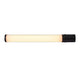 LED Wandleuchte Malaika 49 IP44 in modernem Design, ideal für Badezimmerspiegel mit praktischer Steckdose.