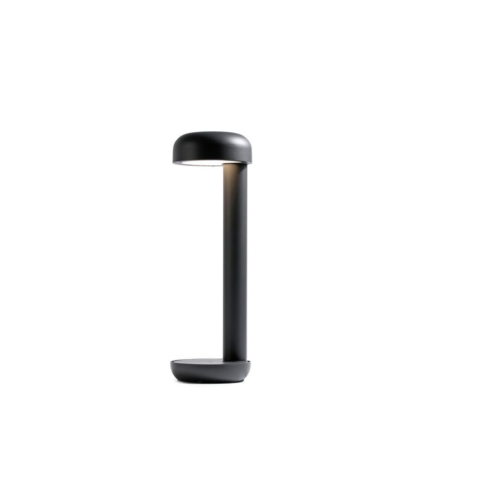 LED Wegenlagte cultiver 50 cm 10W IP65 gris foncé
