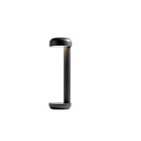 LED Wegenlagte cultiver 50 cm 10W IP65 gris foncé