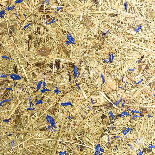 Lampenschirm aus Heu und Holz - Detailansicht von Heu mit blauen Akzenten.
