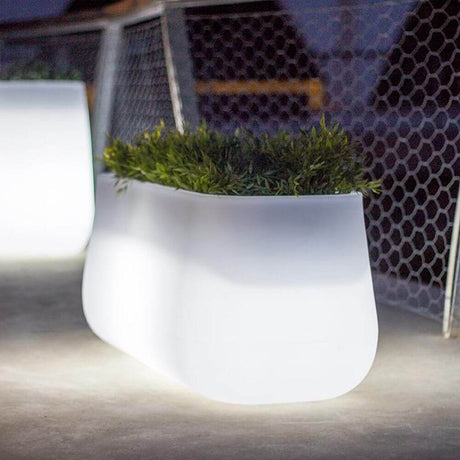 Camelia Stor dekorativ krukke med LED Solar belysning og fjernbetjening i nathaven med planter.