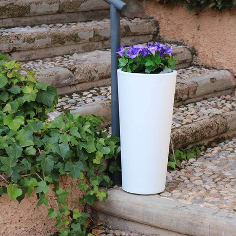 Ficus oplyst urtepotte 60cm med lilla blomster på en trappe omgivet af planter.