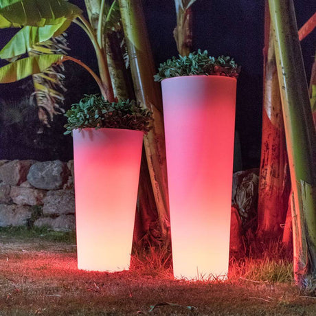 Ficus oplyst urtepotte 60cm i knaldrødt ved siden af palmer i haven om natten