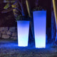Ficus leuchtender LED Blumentopf mit Akku und Fernbedienung in der Nacht, erleuchtet in Blau.