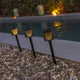 3 dekorative Gretita LED Garten-Solarspieße am Pool, schaffen eine zauberhafte Atmosphäre im Außenbereich.