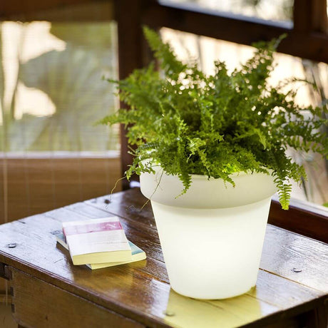 Magnolia Mini LED opplyst blomsterpotte med batteri, blomstrende plante i en moderne, opplyst potte på et bord.