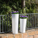 LED solar decol light ficus illuminated flower pot with battery