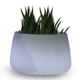 LED Solar-Dekotopf Camelia Farbwechsel