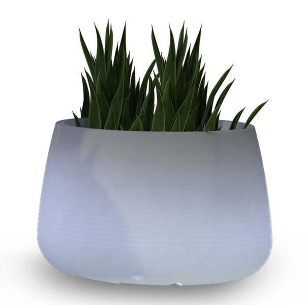 LED Solar-Dekotopf Camelia Farbwechsel mit Pflanzen, dekorativer RGB-Solar-Pflanztopf mit Fernbedienung
