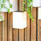 Wally LED Quader-Wandlampe Solar an Holzwand mit Pflanzen, ideal für Balkon und Garten.