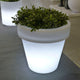 Beleuchtete Topfleuchte Magnolia Ø 45cm mit grünem Pflanzenarrangement und sanfter LED-Beleuchtung.