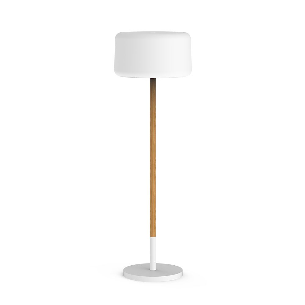 Adjustable floor lamp chloe with earth spike