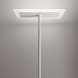 Dublight FL LED standing lamp