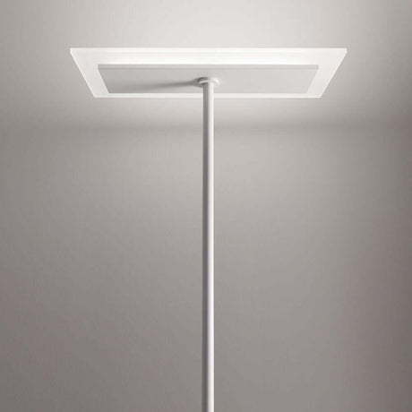 Dublight FL LED floor lamp from below, modern design with a white lampshade and slender base.