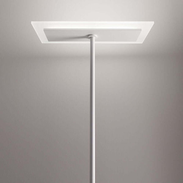 Dublight FL LED-Stehleuchte von unten, modernes Design mit weißem Lampenschirm und schlankem Standfuß.
