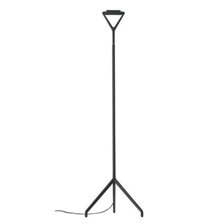 Luceplan floor lamp Lola 200cm with a graceful shape and modern design in black.