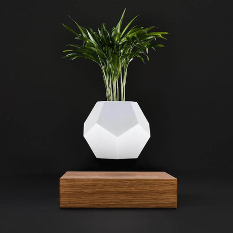 Lyfe decorative plate with floating pot on oak base, modern and hypnotizing.