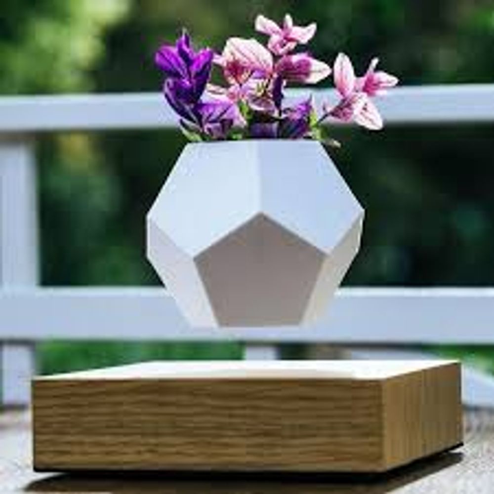 Plato decorativo Lyfe con maceta flotante