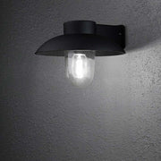 Mani outdoor wall light black, clear glass mounted on a wall, modern design with clear glass cover.
