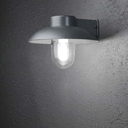 Lámpara de pared exterior Mani plata, vidrio claro montada en una pared con vidrio brillante.