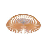 Himalaya LED ceiling light and fan