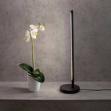 Torch LED-Tischlampe