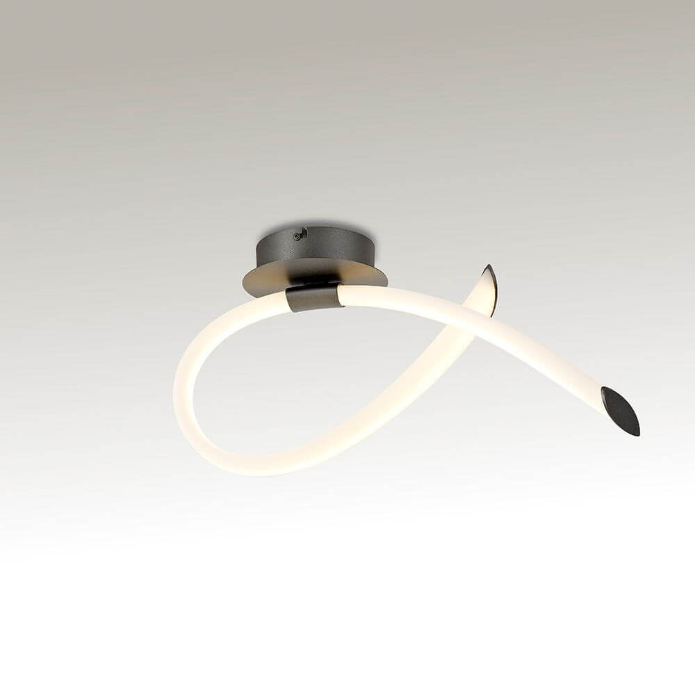 LED wall lamp loop Armonia