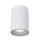 Alfa Metall Deckenleuchte Downlight in elegantem Design, pulverbeschichteter Aluminiumkorpus und Metallfassung.