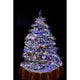 11m Micro LED Büschellichterkette Cluster mit 8 Funktionen 1152 bunte Dioden IP44 beleuchtet einen Weihnachtsbaum im Dunkeln.