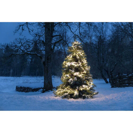 Catena di luci micro LED Büschell con 8 funzioni bianco caldo IP44 che brilla in modo decorativo su un albero di Natale innevato.