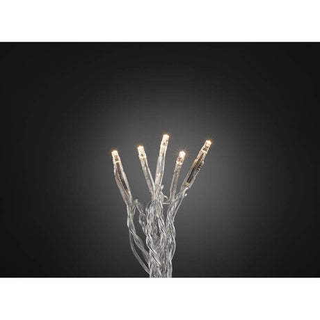 Micro LED string lights with 100 warm white diodes on a transparent cable, shining against a dark background.