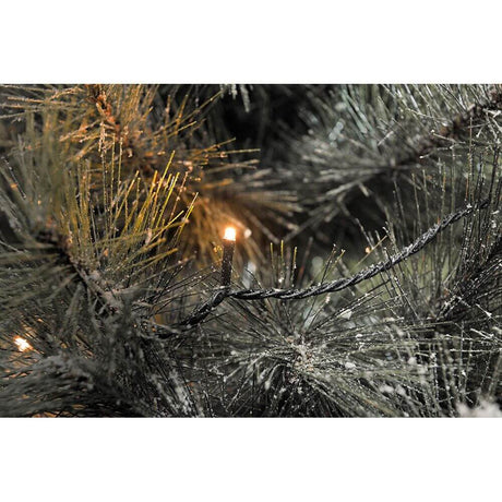 40m Micro LED Lichterkette 1000 bernsteinfarbene Dioden IP44 an einem Tannenbaum, festliche Beleuchtung.