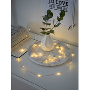 2m Micro LED Lichterkette Timer 20 Warmweiße Dioden batteriebetrieben kupferfarbener Draht mit dekorativem Vase und Pflanzen.