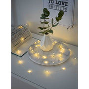 Guirlande lumineuse micro de 2,4 m LED avec minuterie, 40 diodes blanc chaud, à piles, décorative autour d’un vase avec des plantes.