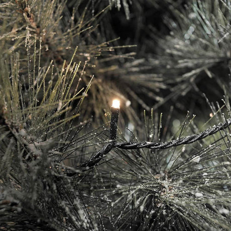 Mikro LED Fairy lights gnistrende effekt 40 varme hvide dioder IP44 på grangrene i vinterbelysning.