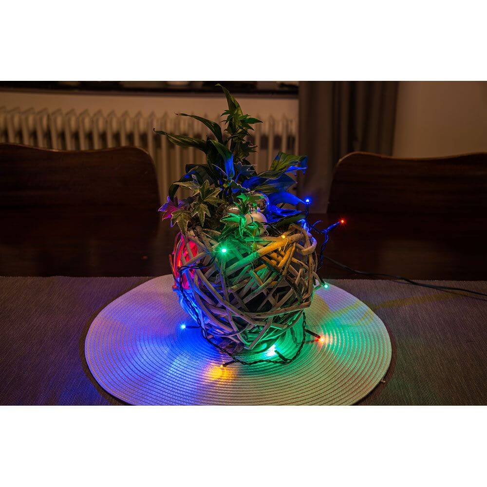 Buy 6m Micro LED light chain 100 colorful diodes online – skapetze®
