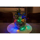 4m Micro LED Lichterkette 20 bunte Dioden um einen Blumentopf mit bunten Lichtern dekoriert.