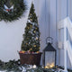 Weihnachtliche Deko mit einem schneebedeckten Mini-Baum, Lichtern, Äpfeln und Laterne vor einer Holzwand.