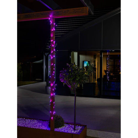 6m Micro LED Lichterkette mit rot/blau Farbwechsel 40 farbwechselnde Dioden IP44 an einem Baum im Garten.