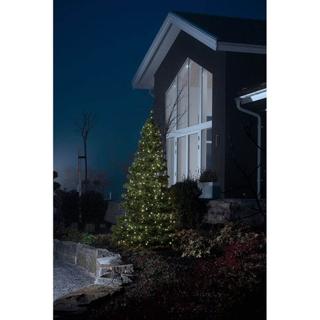 Micro LED kompakt System Basis-Set: 100 Warmweiße Dioden 31V IP44 beleuchtet einen Baum im Garten.